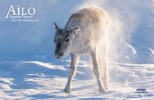 ailo_pressikuvat8.jpg ailo_pressikuvat8.jpg