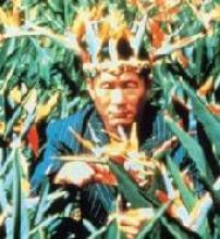 Boiling Point (R0 USA)