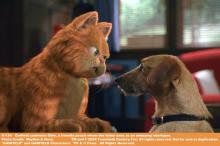 Laiskimus vetää katsojia Laiskimus vetää katsojia