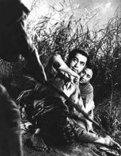 Japanilaisten suurohjaajien jalanjäljillä Japanilaisten suurohjaajien jalanjäljillä