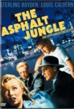 Film Noir Collection Film Noir Collection