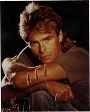 Sveitsiläinen linkkari ja aimo annos purkkaa Sveitsiläinen linkkari ja aimo annos purkkaa