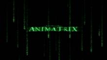 Animatrix, The