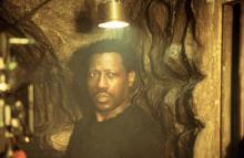 Nine Lives Nine Lives