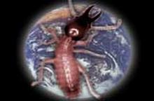 Bruce Campbell Q & A Bruce Campbell Q & A