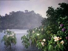 Afrikan kuningatar Afrikan kuningatar