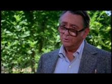 Summer of Fear Summer of Fear