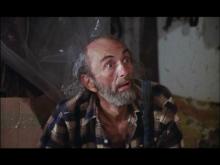 Banaanipojat Hula-Hula saarella