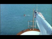 Banaanipojat Hula-Hula saarella