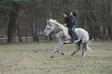 Science of Sleep, The