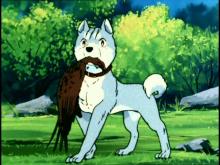 Hopeanuoli Hopeanuoli