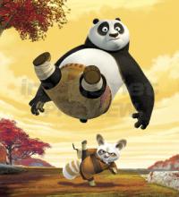 Kung Fu Panda Kung Fu Panda