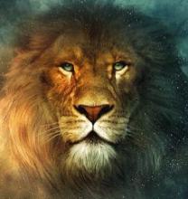 Eeppinen fantasiaelokuva näkee sittenkin päivänvalon