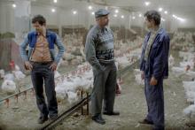 Tarinoita kulta-ajalta