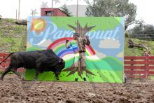 Jackass 3D Jackass 3D