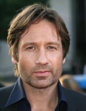 David Duchovny: The X-Files palaa juurilleen David Duchovny: The X-Files palaa juurilleen