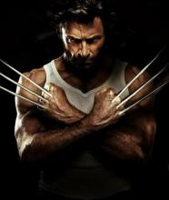 Wolverine on vain Wolverine Wolverine on vain Wolverine
