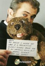 Majava masennuslääkkeenä: Jodie Fosterin uusin elokuva tuo Mel Gibsonin takaisin murheen alhosta Majava masennuslääkkeenä: Jodie Fosterin uusin elokuva tuo Mel Gibsonin takaisin murheen alhosta