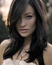 Olivia Wilde harkitsee pornotähdin roolia