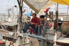 Get the Gringo Get the Gringo