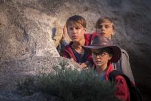 Lomasankarit Lomasankarit