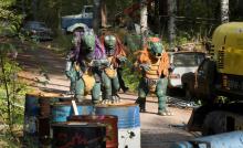 Hevisaurus -elokuva Hevisaurus -elokuva