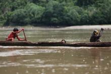 Green Inferno, The Green Inferno, The